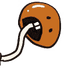 きのこ